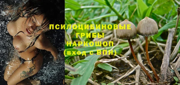 мдпв Ельня