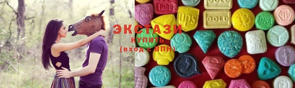 мдпв Ельня