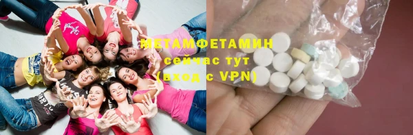 мдпв Ельня