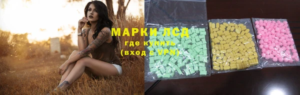 мдпв Ельня