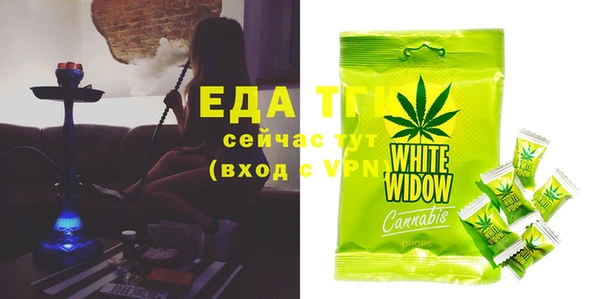 мдпв Ельня