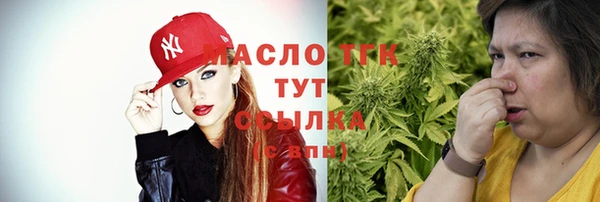 мдпв Ельня