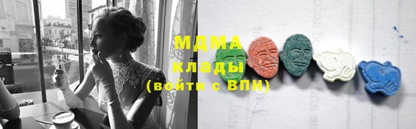 мдпв Ельня