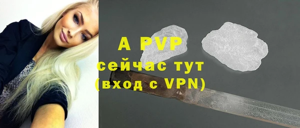 мдпв Ельня
