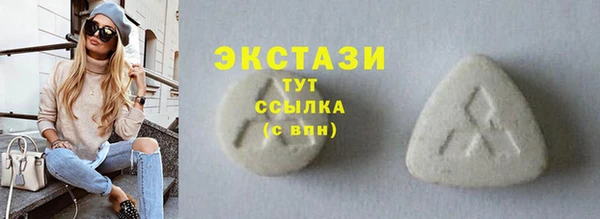 мдпв Ельня