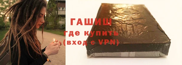 мдпв Ельня