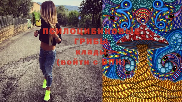 соль курить ск Елизово