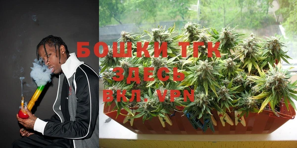 мдпв Ельня