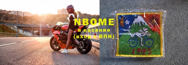 мдпв Ельня