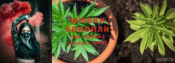 мдпв Ельня