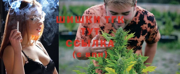 мдпв Ельня