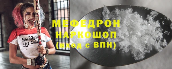 мдпв Ельня