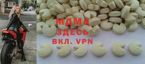 мдпв Ельня